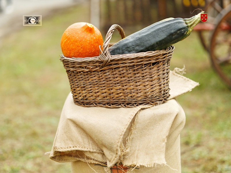 fotosotcKurima 2022- 189.jpg